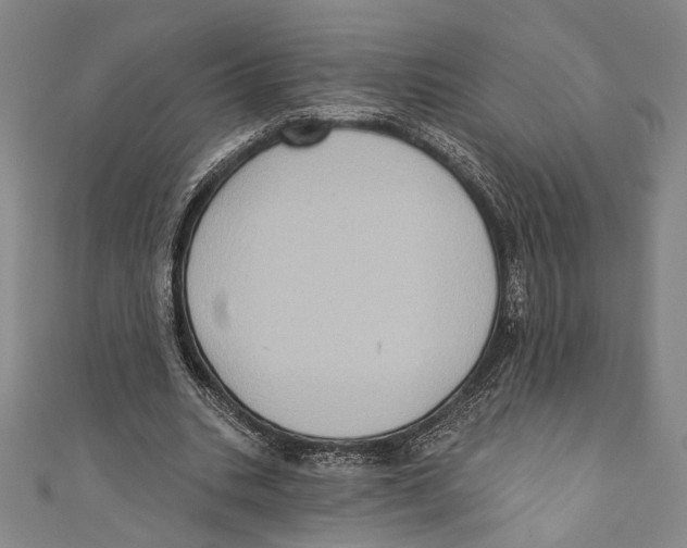 X0000110680535200907101129