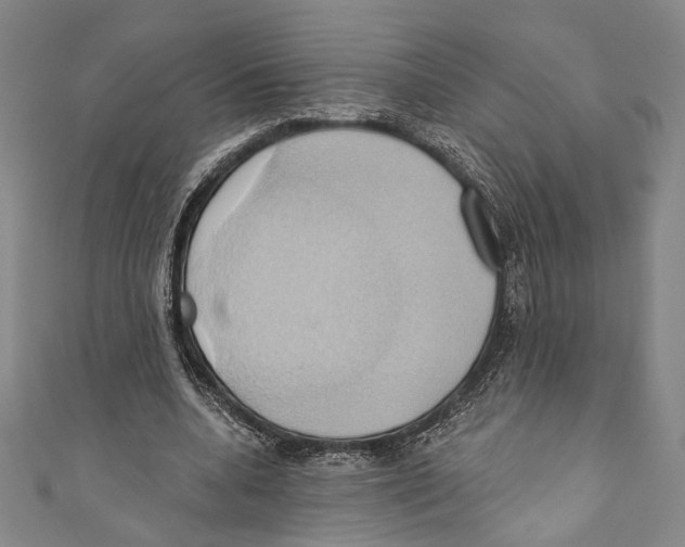 X0000110680536200907101129