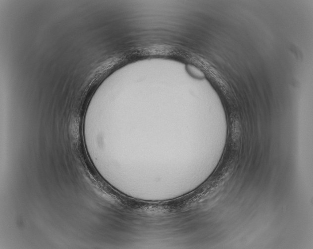 X0000110680537200907101129