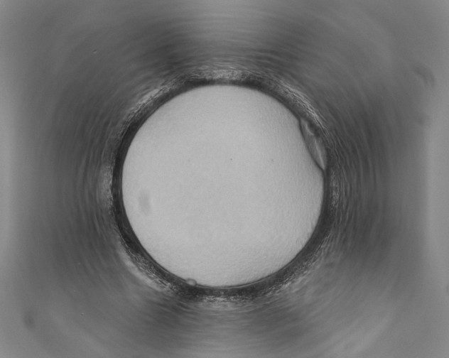 X0000110680538200907101129