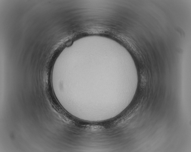 X0000110680539200907101129