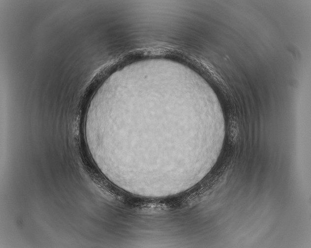 X0000110680543200907101130