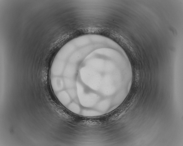X0000110680545200907101130