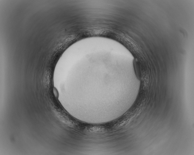 X0000110680546200907101130