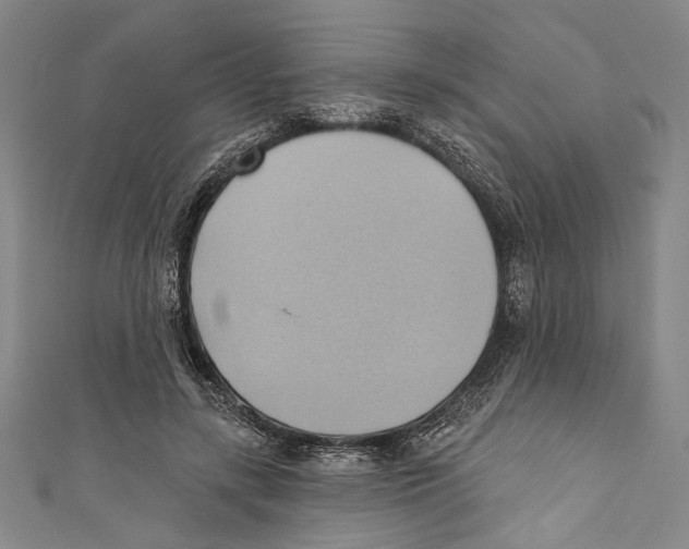 X0000110680547200907101130