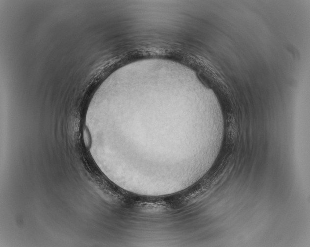 X0000110680548200907101130