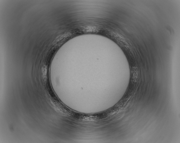 X0000110680550200907101130