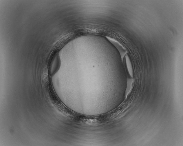 X0000110680552200907101130