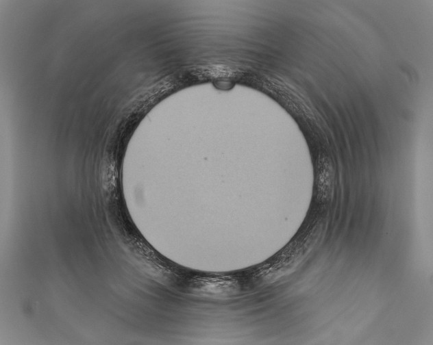 X0000110680555200907101130