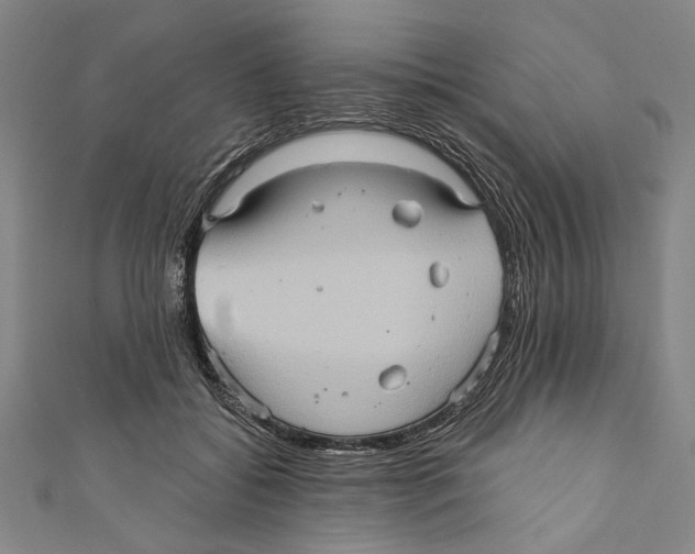 X0000110680556200907101130