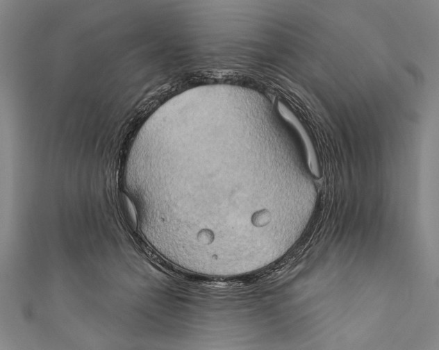 X0000110680558200907101130