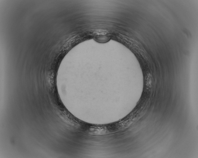X0000110680559200907101130