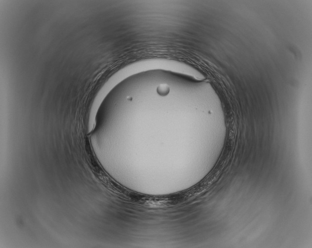 X0000110680560200907101130