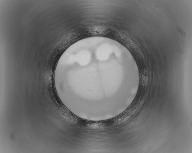 X0000110680561200907101130