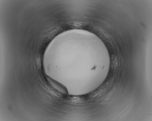 X0000110680562200907101130