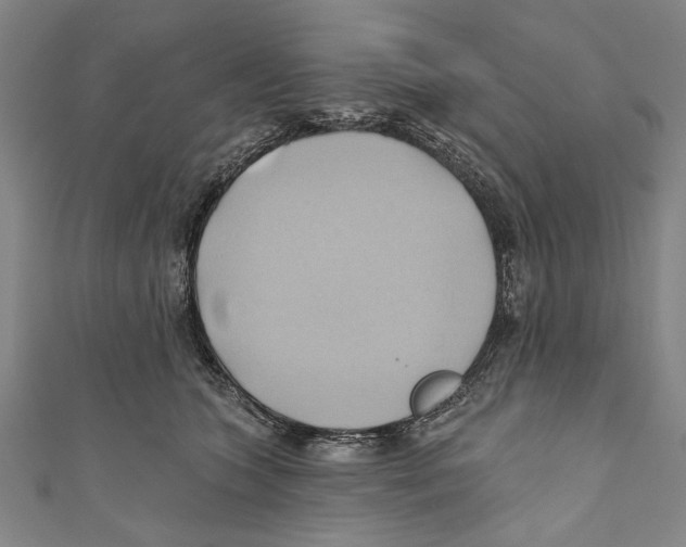 X0000110680563200907101130