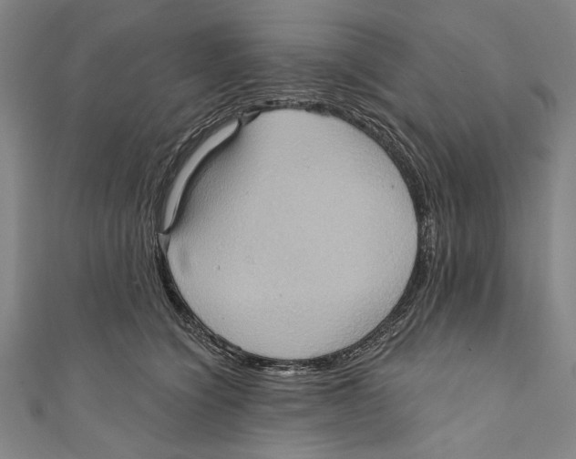 X0000110680564200907101130