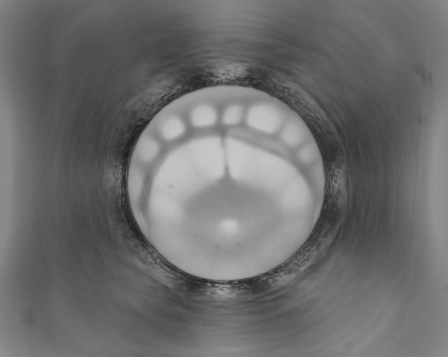 X0000110680565200907101130