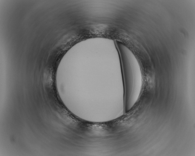 X0000110680566200907101130