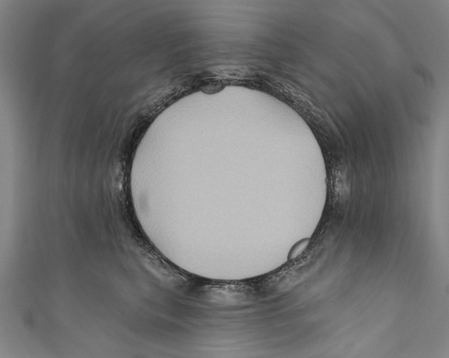 X0000110680567200907101130