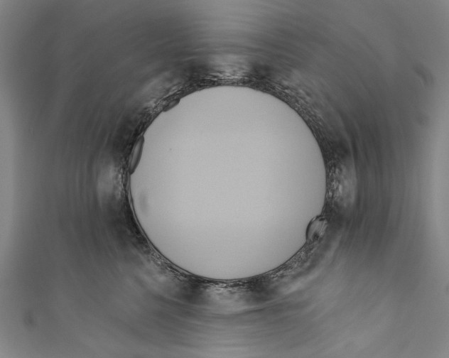 X0000110680568200907101130
