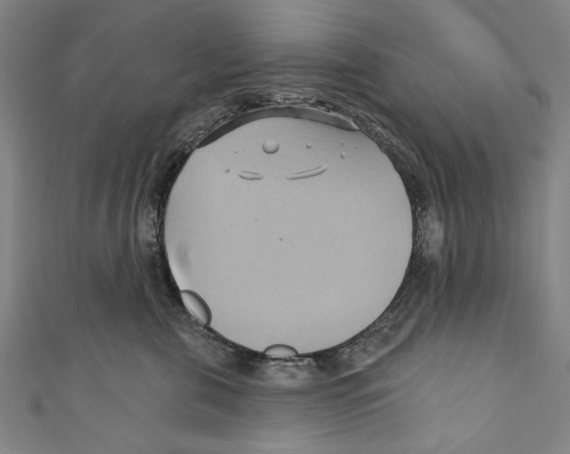 X0000110680571200907101130