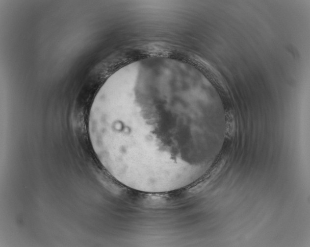 X0000110680573200907101130
