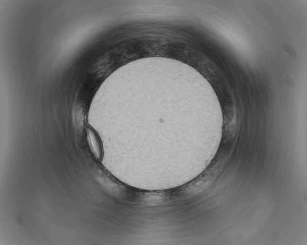 X0000110680574200907101130