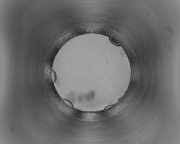 X0000110680575200907101130