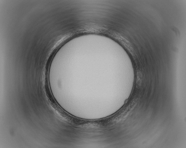 X0000110680578200907101129