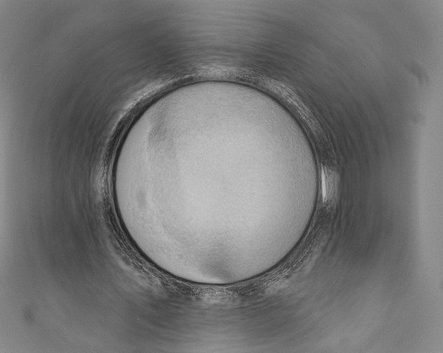 X0000110680579200907101129