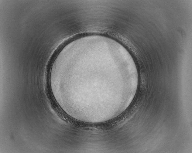 X0000110680580200907101129
