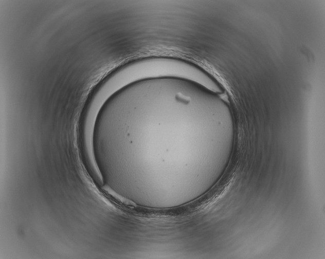 X0000110680581200907101129