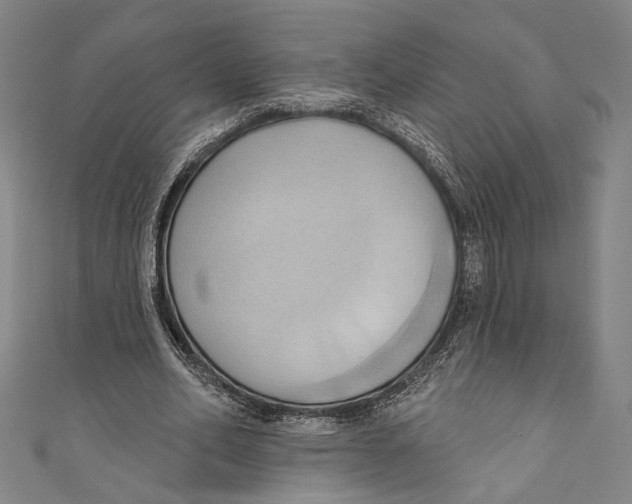 X0000110680582200907101129
