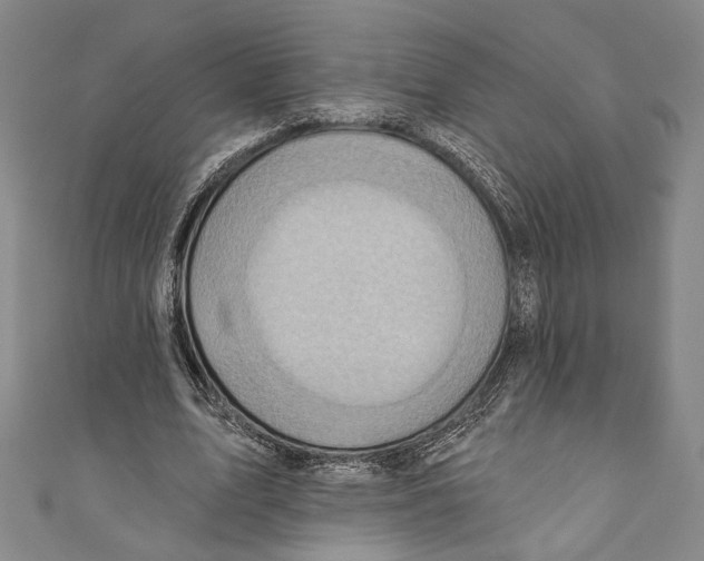 X0000110680583200907101129