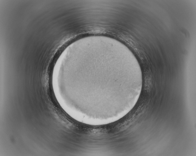 X0000110680584200907101129