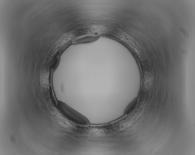 X0000110680585200907101129