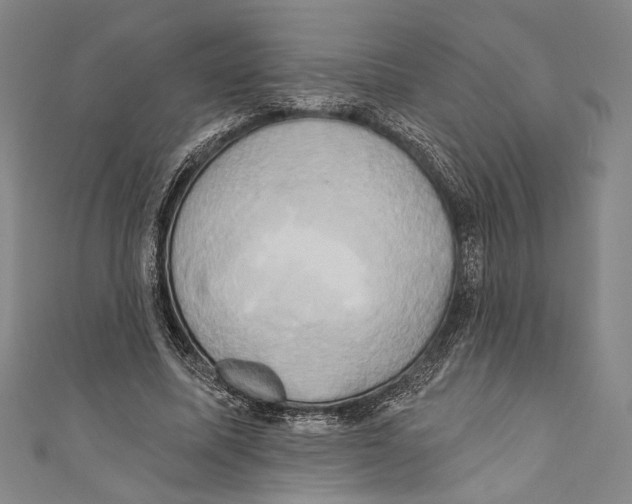 X0000110680587200907101129