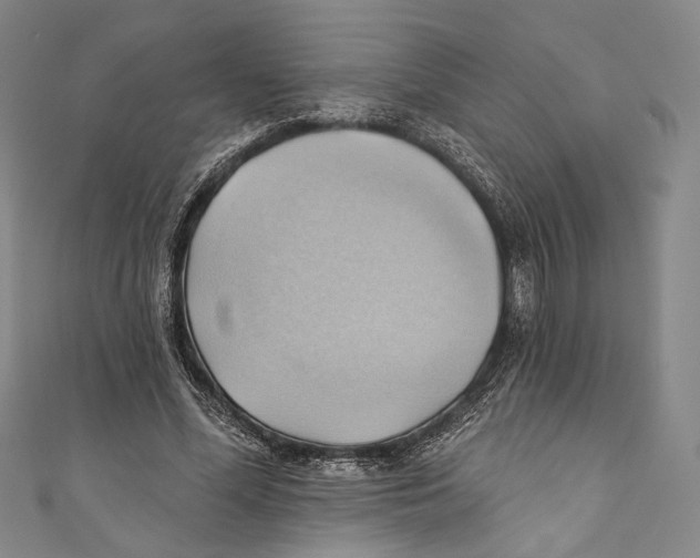 X0000110680588200907101129