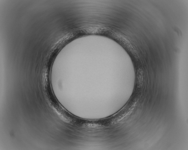 X0000110680590200907101129