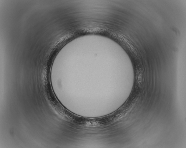 X0000110680591200907101129