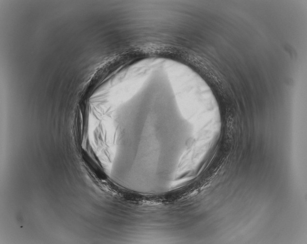 X0000110680592200907101129