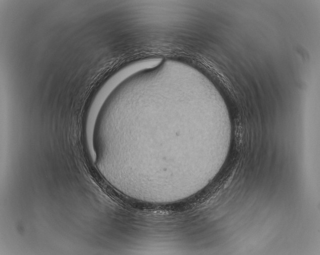X0000110680593200907101129