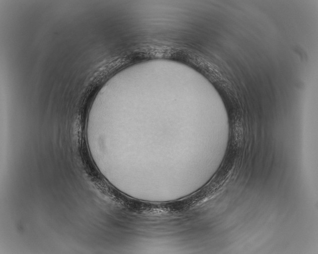 X0000110680594200907101129