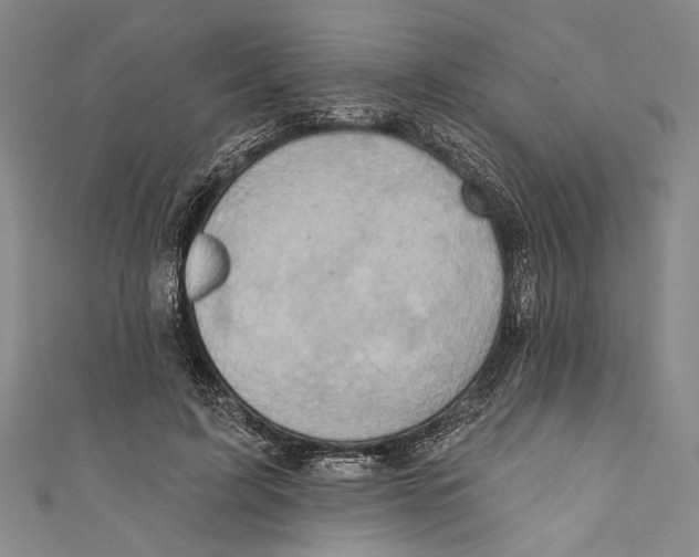 X0000110680595200907101129