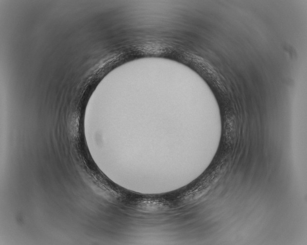 X0000110680596200907101129