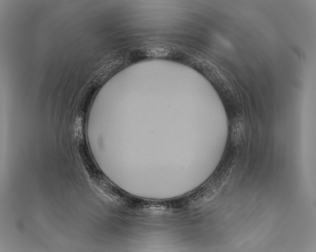 X0000110680598200907101129