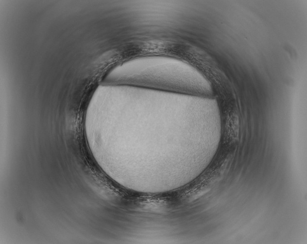 X0000110680601200907101129