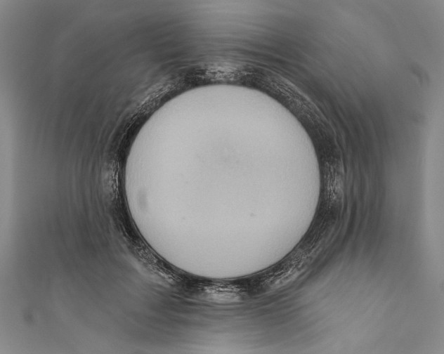 X0000110680603200907101129