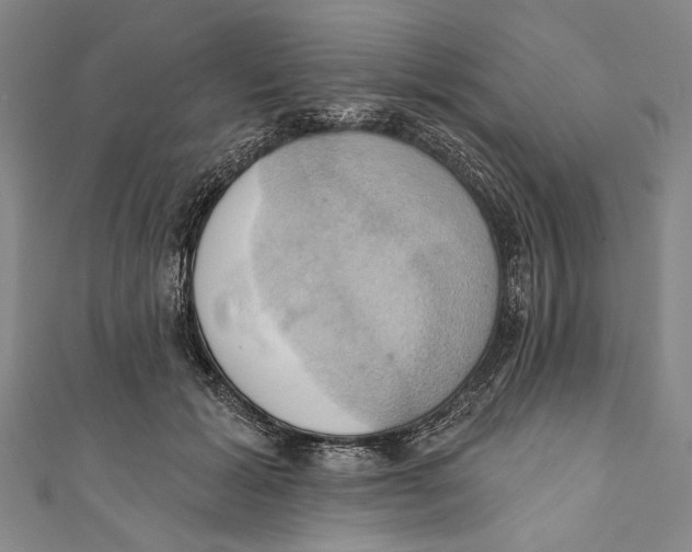 X0000110680605200907101129